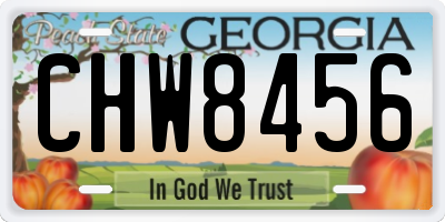 GA license plate CHW8456