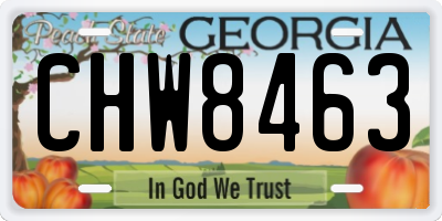 GA license plate CHW8463