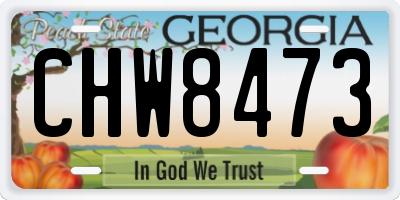 GA license plate CHW8473
