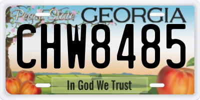 GA license plate CHW8485