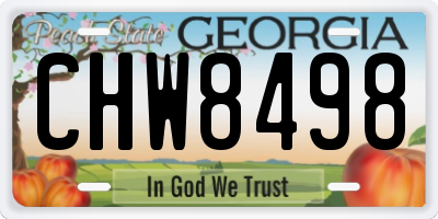 GA license plate CHW8498