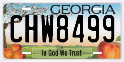 GA license plate CHW8499
