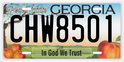 GA license plate CHW8501