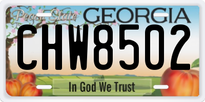 GA license plate CHW8502