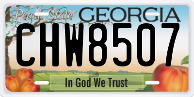 GA license plate CHW8507