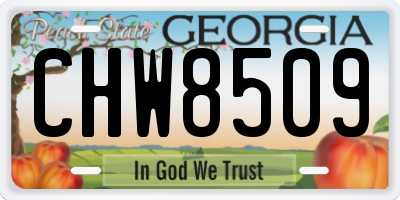 GA license plate CHW8509
