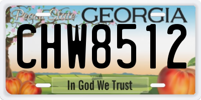 GA license plate CHW8512