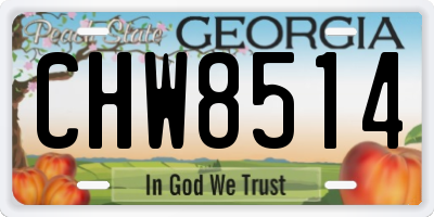 GA license plate CHW8514