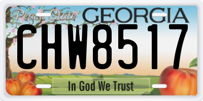 GA license plate CHW8517