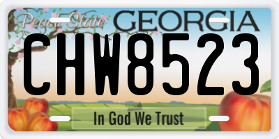 GA license plate CHW8523