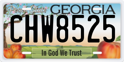 GA license plate CHW8525