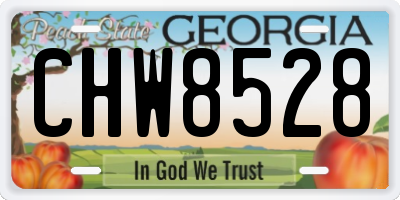 GA license plate CHW8528