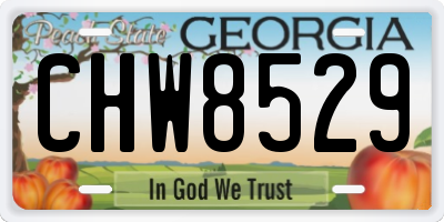 GA license plate CHW8529