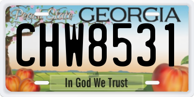 GA license plate CHW8531