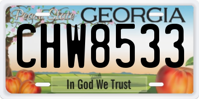 GA license plate CHW8533