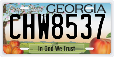 GA license plate CHW8537