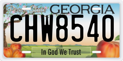GA license plate CHW8540