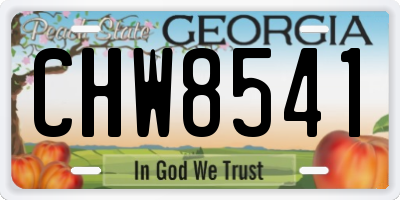 GA license plate CHW8541
