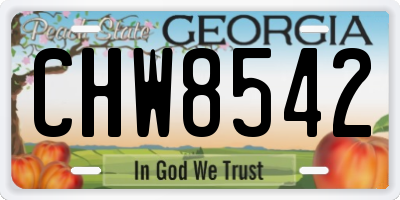 GA license plate CHW8542