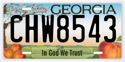 GA license plate CHW8543