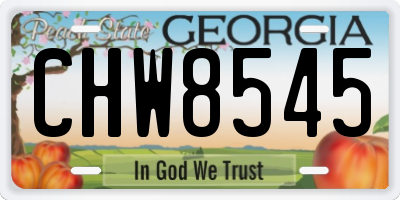 GA license plate CHW8545
