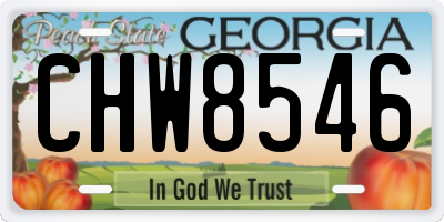 GA license plate CHW8546