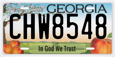 GA license plate CHW8548