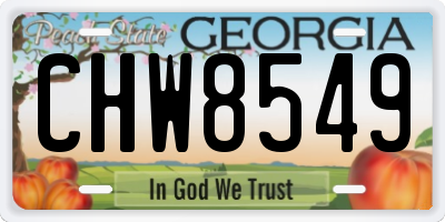 GA license plate CHW8549