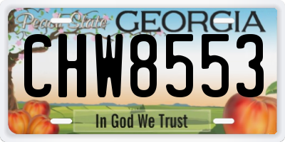 GA license plate CHW8553