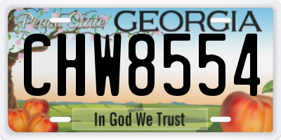 GA license plate CHW8554