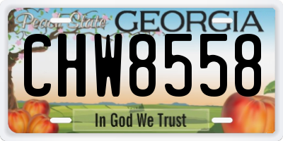 GA license plate CHW8558