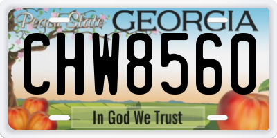 GA license plate CHW8560