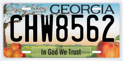 GA license plate CHW8562