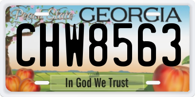GA license plate CHW8563