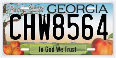 GA license plate CHW8564