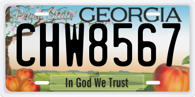 GA license plate CHW8567