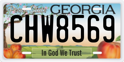 GA license plate CHW8569