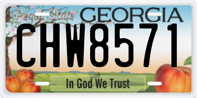 GA license plate CHW8571