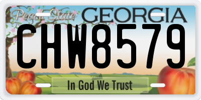 GA license plate CHW8579