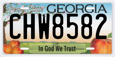GA license plate CHW8582