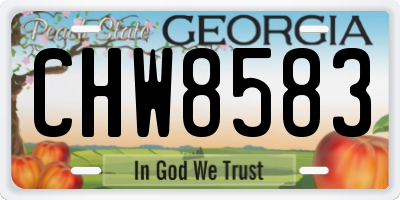 GA license plate CHW8583