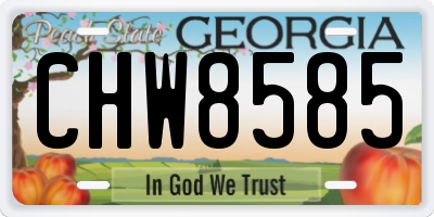 GA license plate CHW8585