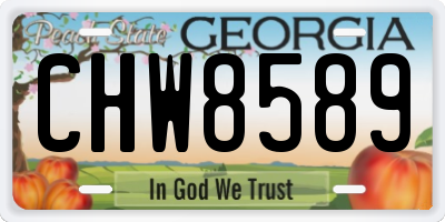 GA license plate CHW8589
