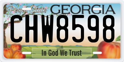 GA license plate CHW8598