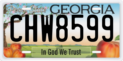GA license plate CHW8599
