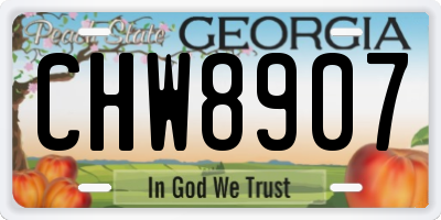 GA license plate CHW8907