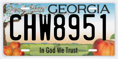 GA license plate CHW8951