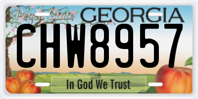 GA license plate CHW8957