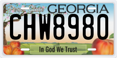 GA license plate CHW8980