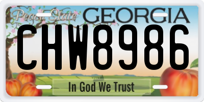 GA license plate CHW8986